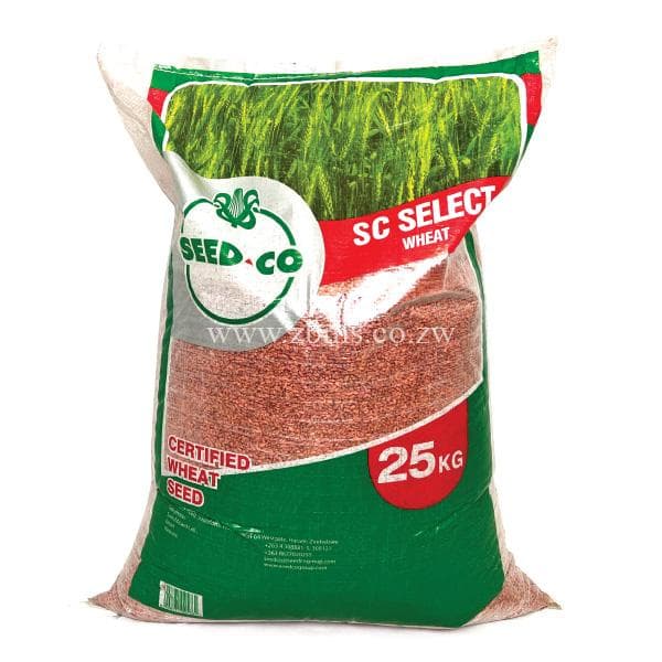 Seeds