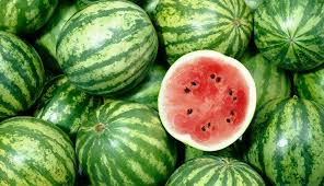 FAHARI WATERMELON 1000SEEDS