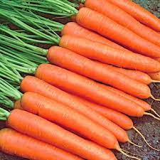 Carrots Nantes/Kuroda 100g {AVANOS}