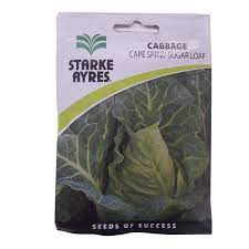RIVA RED CABBAGE 2 500 SEEDS